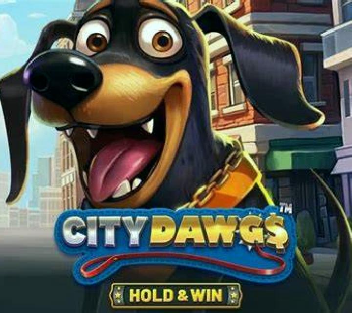 City Dawgs - Hold & Win slot