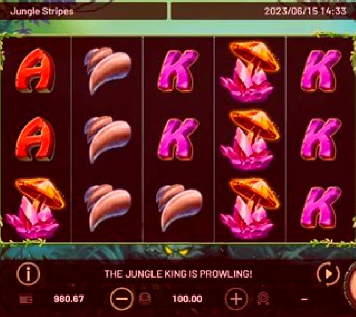 Jungle Stripes slot