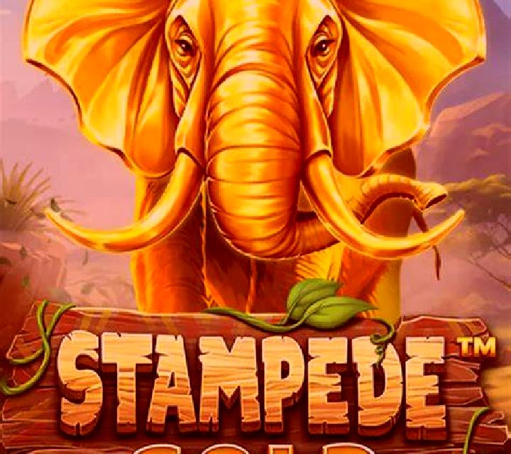 Stampede Gold slot
